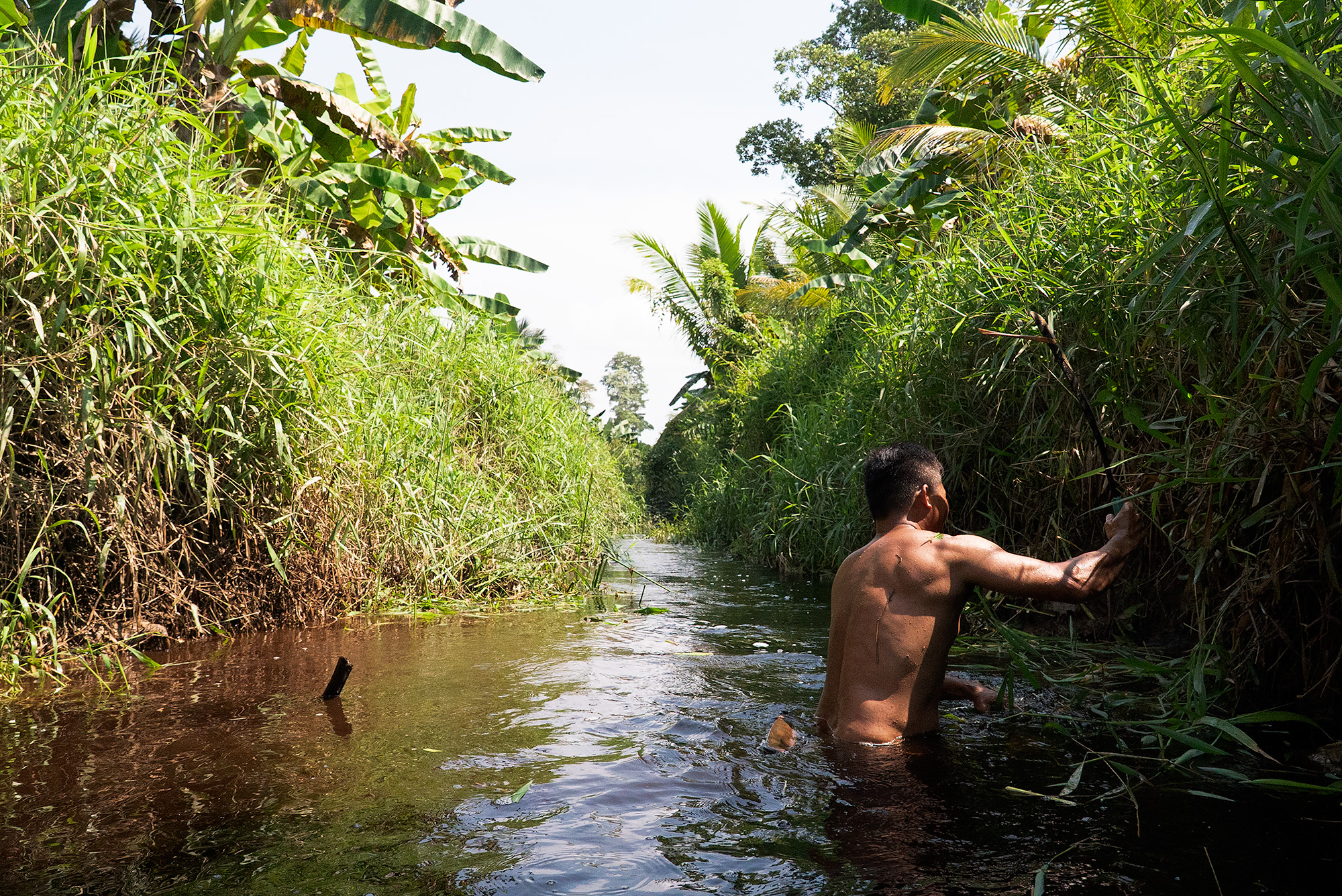 Borneo Project Thumbnail